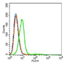 Anti-Integrin alpha 1 antibody