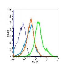 Anti-LPA2 antibody