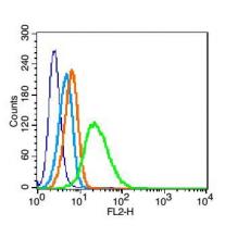 Anti-BST1 antibody