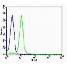 Anti-TFF3 antibody