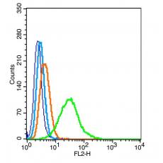 Anti-MARCH9 antibody