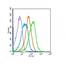 Anti-Apelin Receptor antibody