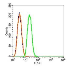 Anti-CARD15/NOD2 antibody