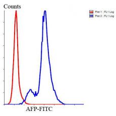 Anti-AFP antibody