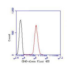 Anti-CD45 antibody