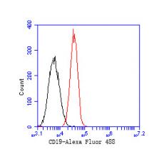 Anti-CD19 antibody