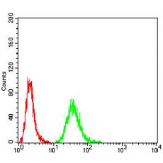 Anti-DDX20 antibody [F9-6C]