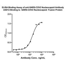 Anti-SARS-CoV-2 Nucleocapsid Protein antibody [A4D12]