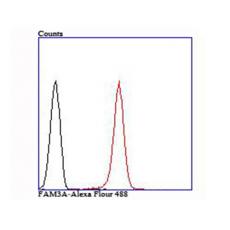 Anti-FAM3A antibody [7-B9]