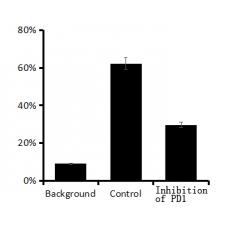 Anti-PD1 Blocking antibody [3A11]