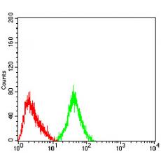 Anti-GRM3 antibody [G2-G9]