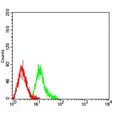 Anti-TRIM29 antibody [8C8G5]