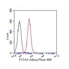 Anti-F13A1 antibody [16D3]