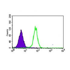 Anti-MRPL42 antibody [G11-H6]